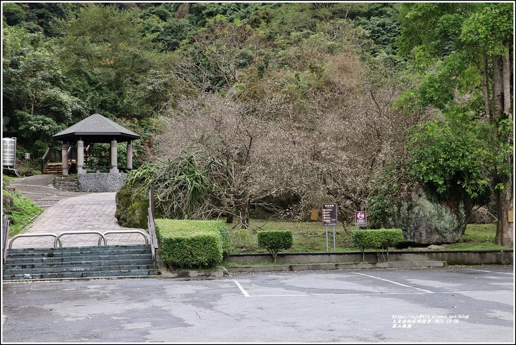 羅山瀑布梅園-2021-12-12.jpg