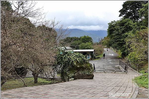 羅山瀑布梅園-2021-12-14.jpg