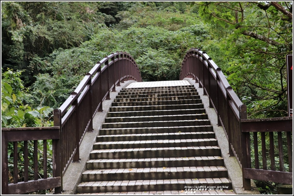 羅山瀑布梅園-2021-12-15.jpg