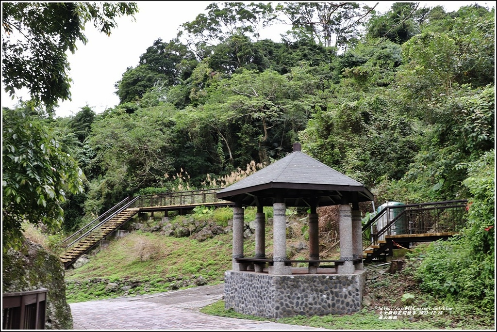 羅山瀑布梅園-2021-12-18.jpg