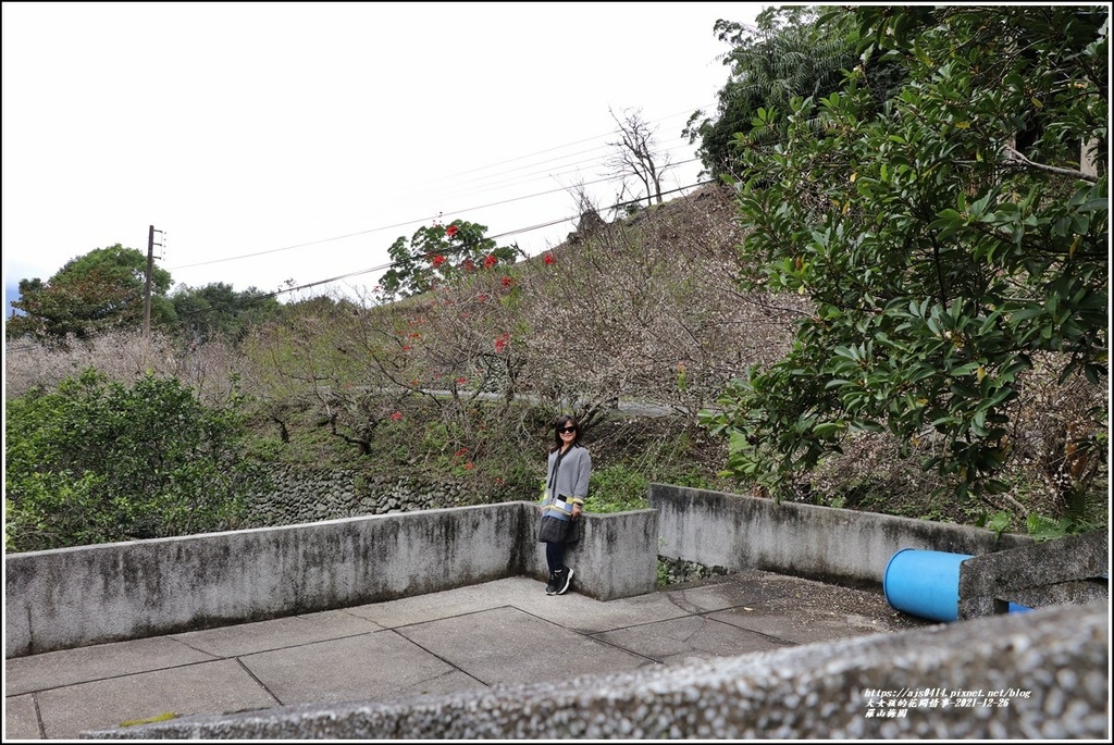 羅山瀑布梅園-2021-12-39.jpg