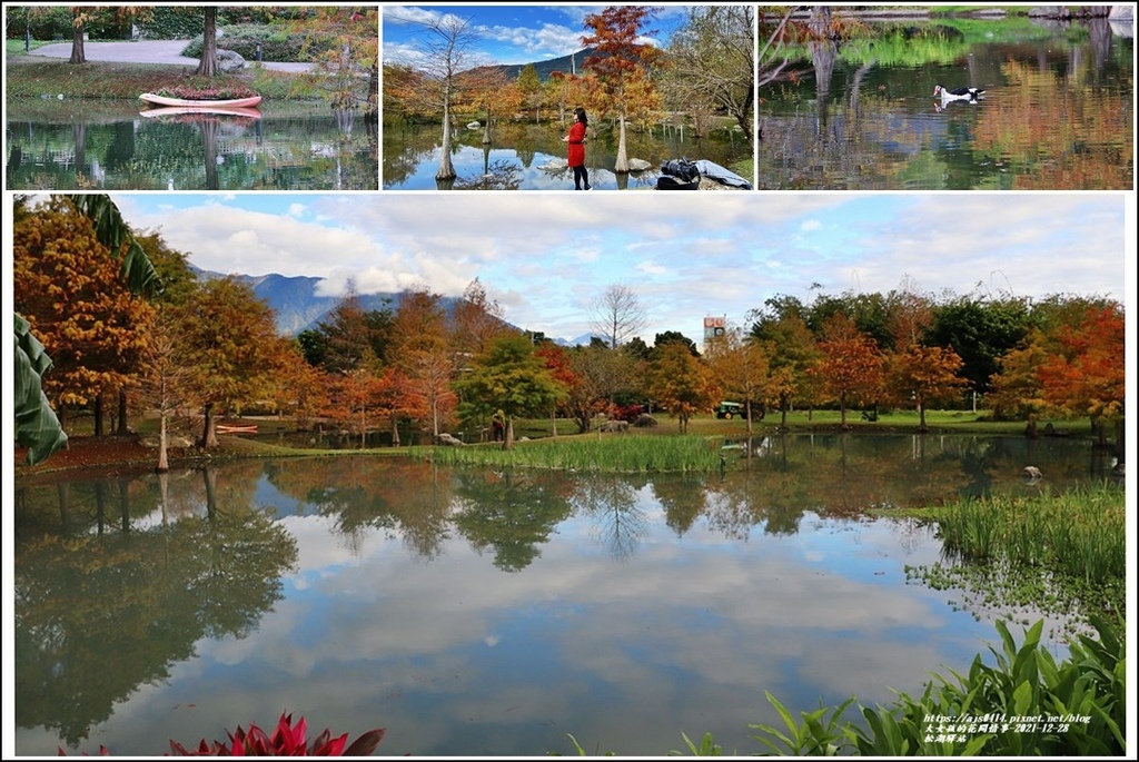 松湖驛站,花蓮吉安,落羽松,生態湖,雲山水,冬季打卡,花蓮景點,花蓮,吉安鄉
