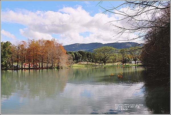 雲山水植物農場-2021-12-30.jpg