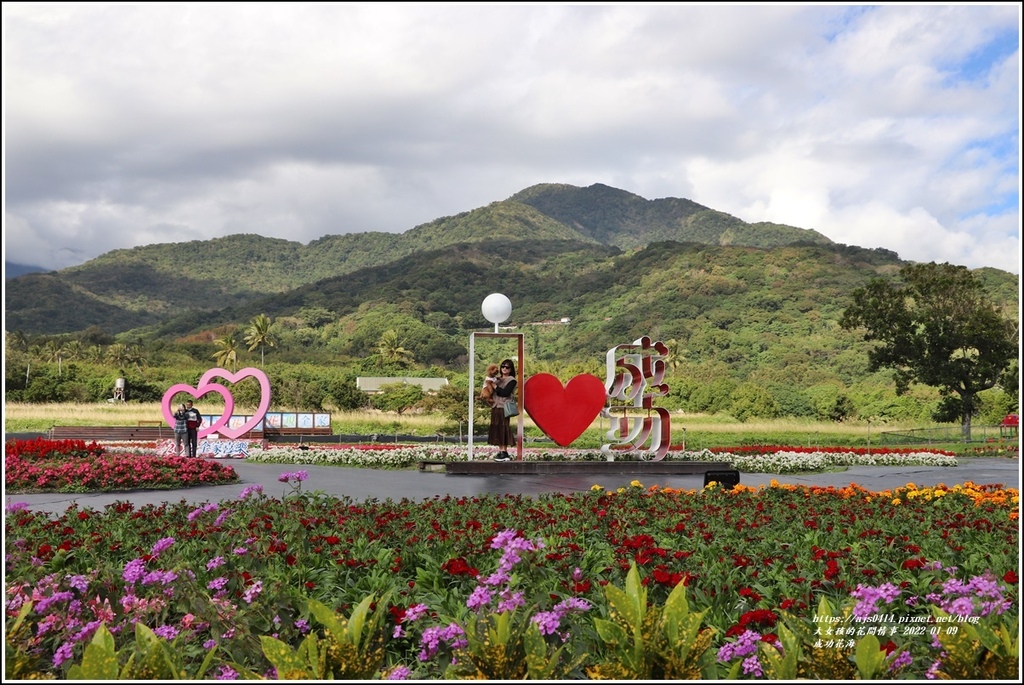 成功花海-2022-01-07.jpg 成功花海-2022-01-07.jpg