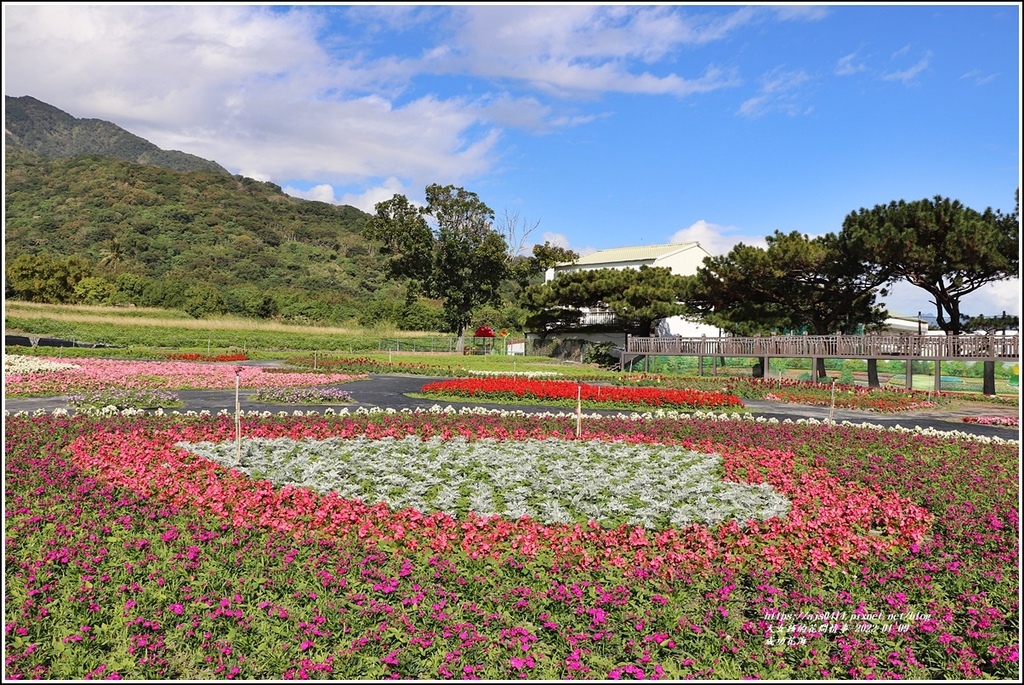 成功花海-2022-01-33.jpg