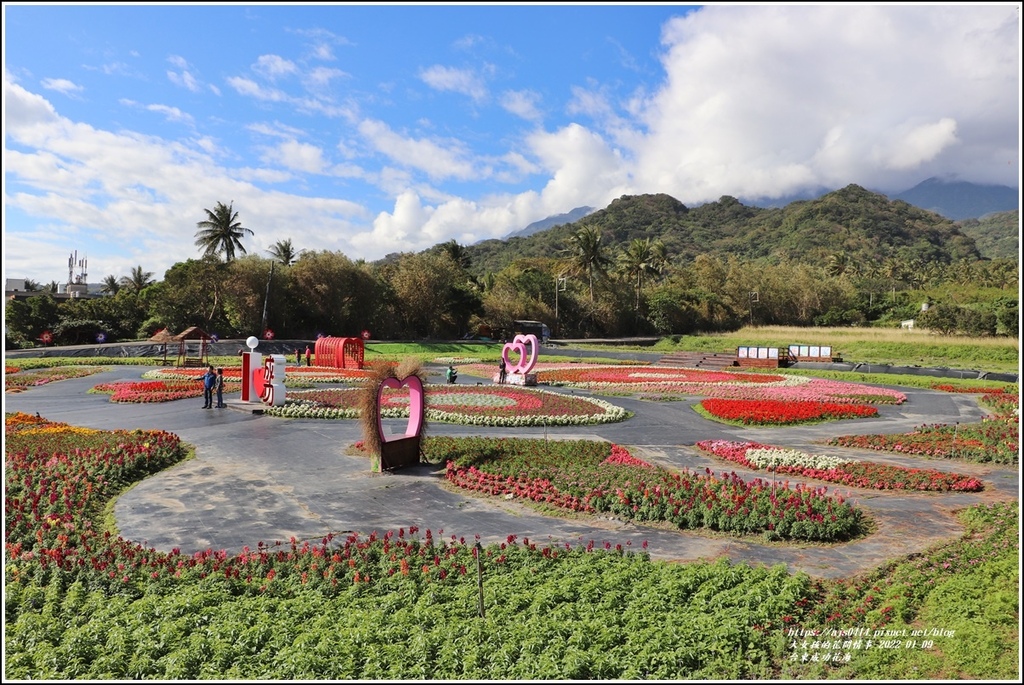 成功花海-2022-01-43.jpg 成功花海-2022-01-43.jpg
