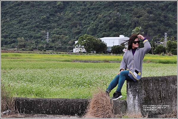 玉里客城蕎麥花田-2022-01-28.jpg