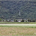 玉里客城蕎麥花田-2022-01-50.jpg