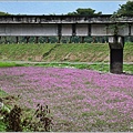 鳳林溪岸花海(鳳遊花城、花綻山林)-2022-01-05.jpg