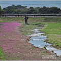 鳳林溪岸花海(鳳遊花城、花綻山林)-2022-01-01.jpg