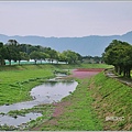 鳳林溪岸花海(鳳遊花城、花綻山林)-2022-01-27.jpg