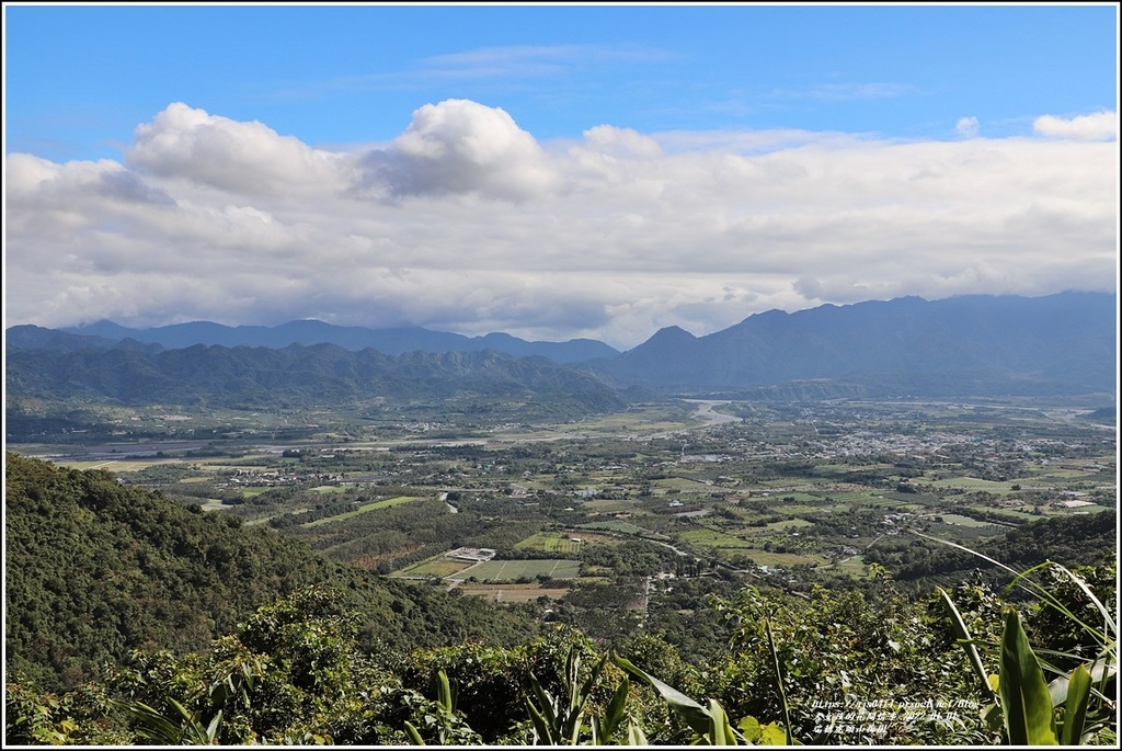 瑞穗虎頭山梅園-2022-01-05.jpg