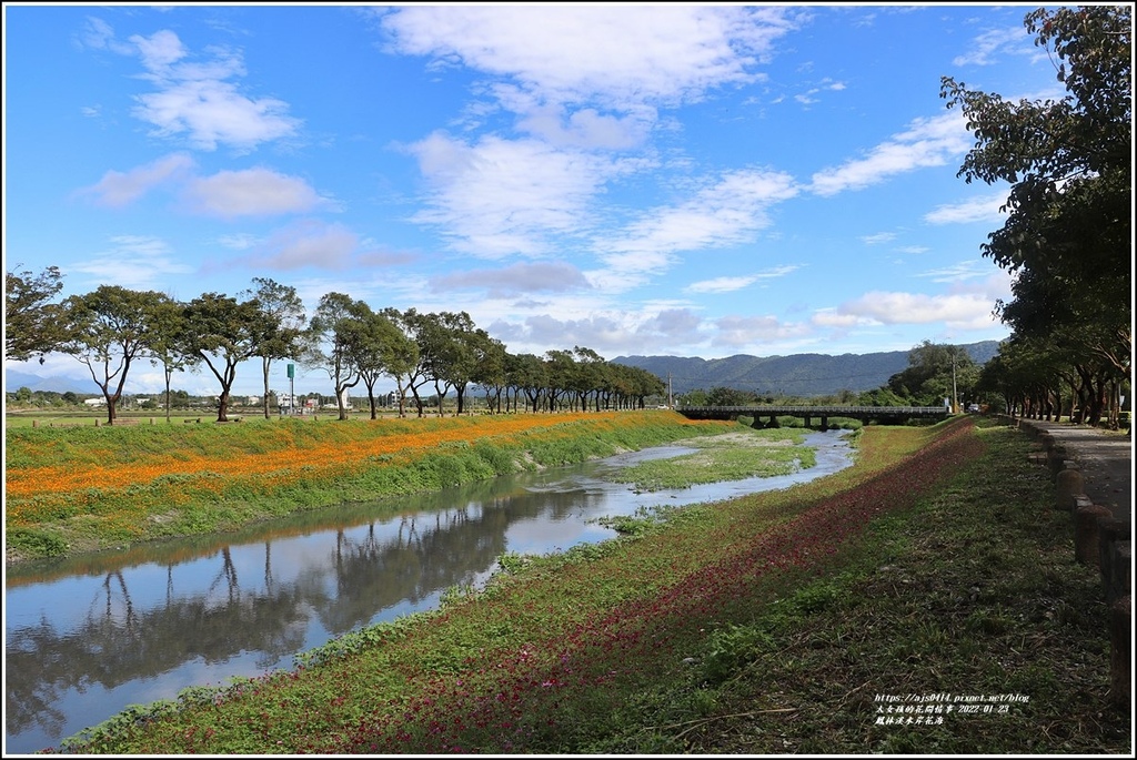 鳳林溪水岸花海-2022-01-05.jpg