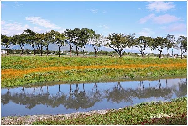 鳳林溪水岸花海-2022-01-06.jpg