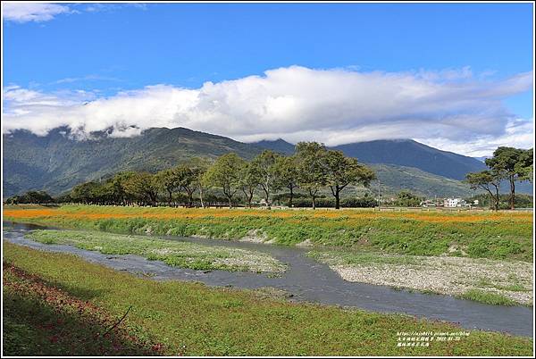 鳳林溪水岸花海-2022-01-03.jpg