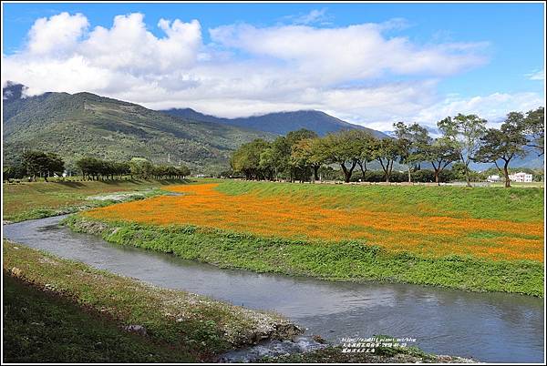 鳳林溪水岸花海-2022-01-09.jpg