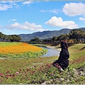 鳳林溪水岸花海-2022-01-21.jpg