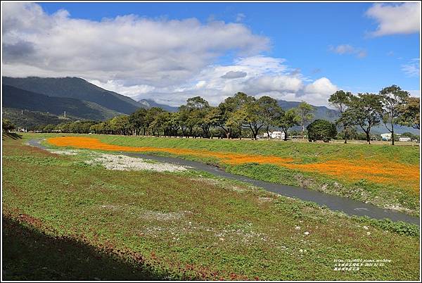 鳳林溪水岸花海-2022-01-36.jpg