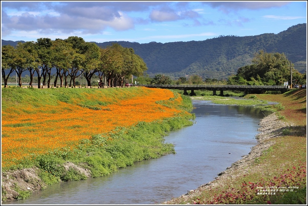 鳳林溪水岸花海-2022-01-35.jpg