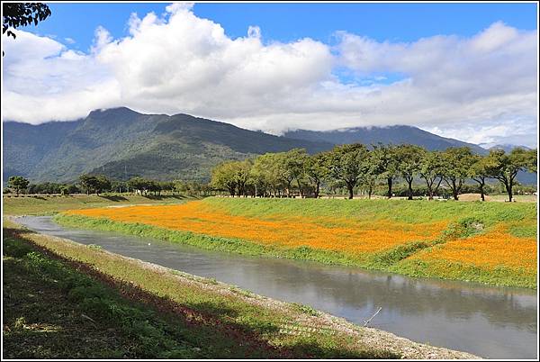 鳳林溪水岸花海-2022-01-43.jpg