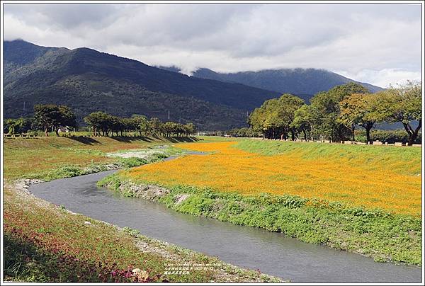 鳳林溪水岸花海-2022-01-40.jpg