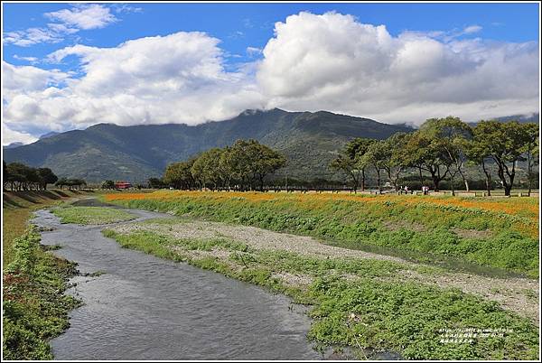 鳳林溪水岸花海-2022-01-46.jpg