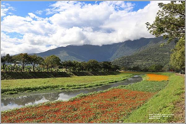 鳳林溪水岸花海-2022-01-54.jpg