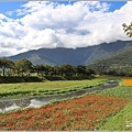 鳳林溪水岸花海-2022-01-54.jpg