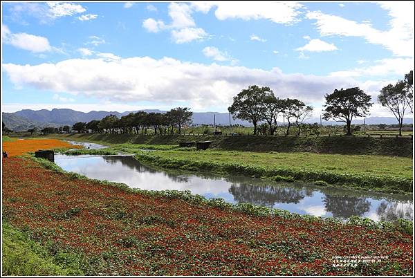 鳳林溪水岸花海-2022-01-50.jpg