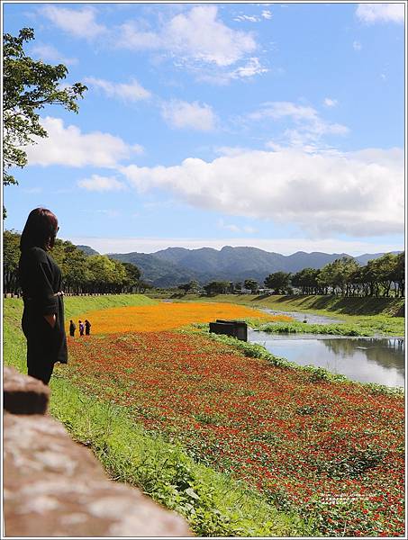 鳳林溪水岸花海-2022-01-51.jpg