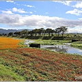 鳳林溪水岸花海-2022-01-52.jpg