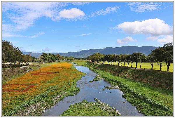 鳳林溪水岸花海-2022-01-85.jpg