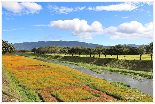 鳳林溪水岸花海-2022-01-89.jpg