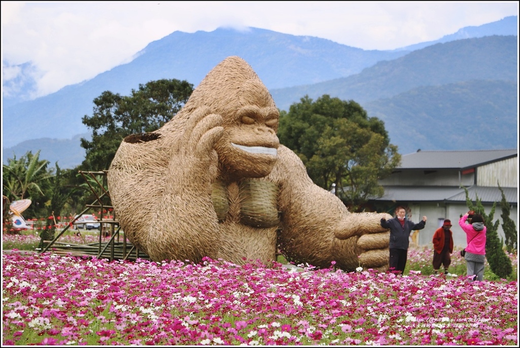 富里稻草藝術季-2022-02-06.jpg