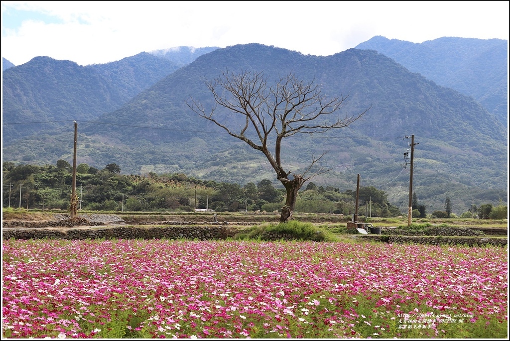 富里稻草藝術季-2022-02-52.jpg