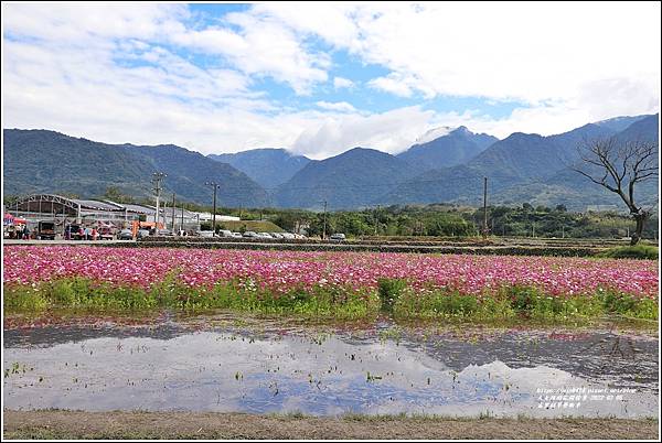 富里稻草藝術季-2022-02-53.jpg