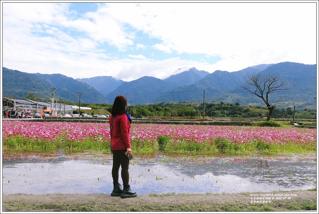 富里稻草藝術季-2022-02-54.jpg