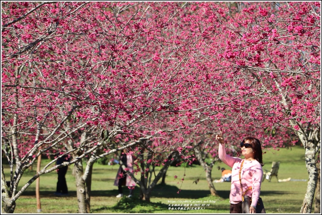 暨南大學櫻花季(花現暨大)-2022-02-25.jpg