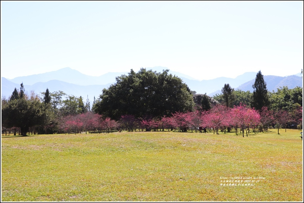 暨南大學櫻花季(花現暨大)-2022-02-72.jpg