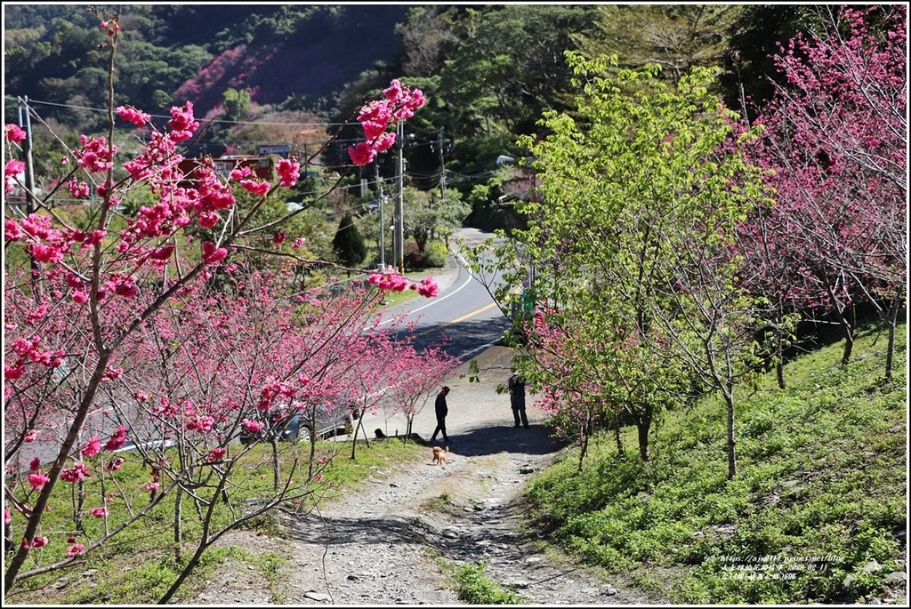 台14線(埔霧公路約69K)-2022-02-20.jpg