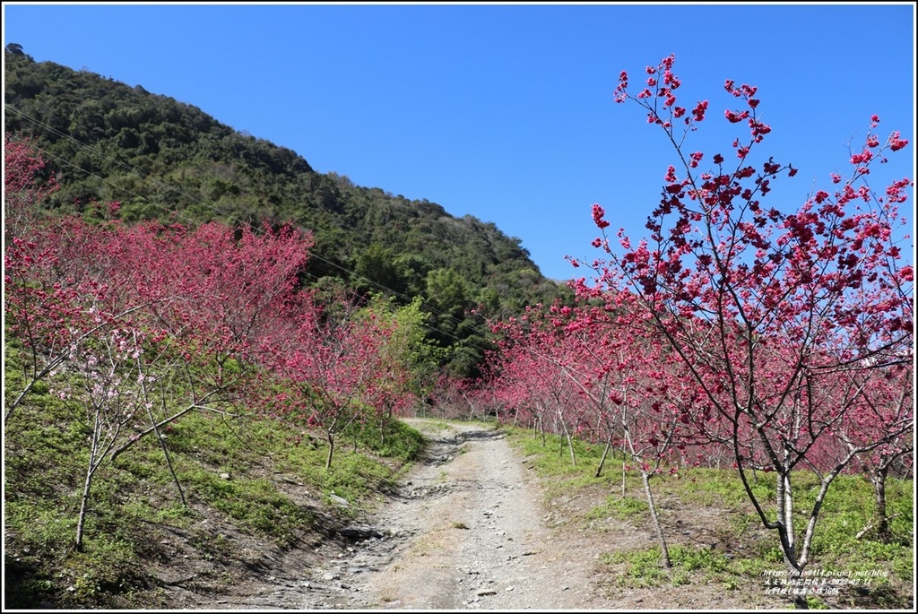 台14線(埔霧公路約69K)-2022-02-28.jpg