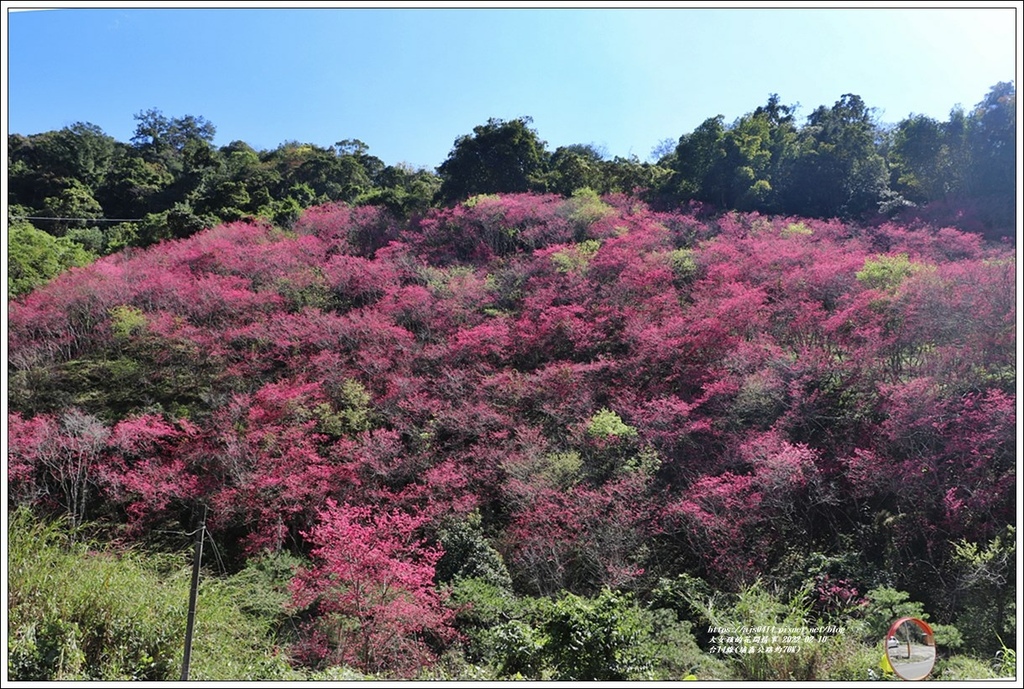 台14線(埔霧公路約70K)-2022-02-01.jpg