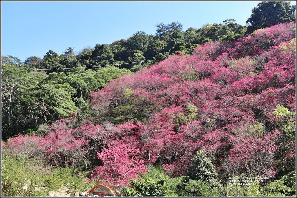 台14線(埔霧公路約70K)-2022-02-08.jpg