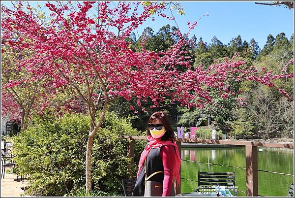 統一清境小瑞士花園 Swiss Garden-2022-02-18.jpg