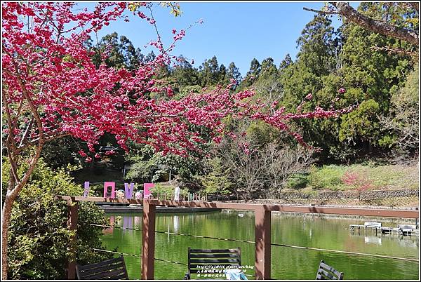 統一清境小瑞士花園 Swiss Garden-2022-02-17.jpg