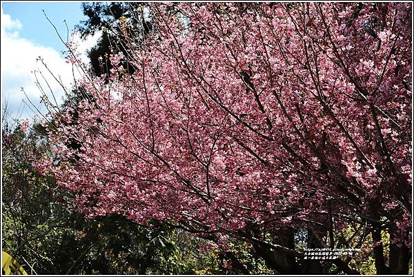 統一清境小瑞士花園 Swiss Garden-2022-02-24.jpg