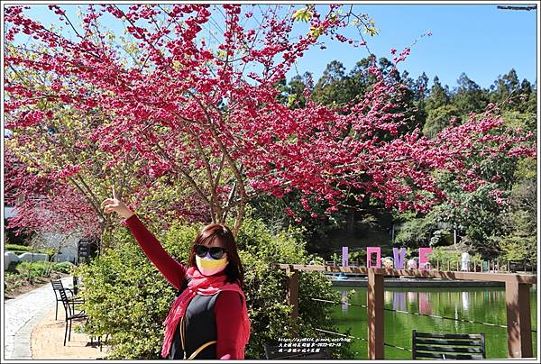 統一清境小瑞士花園 Swiss Garden-2022-02-20.jpg