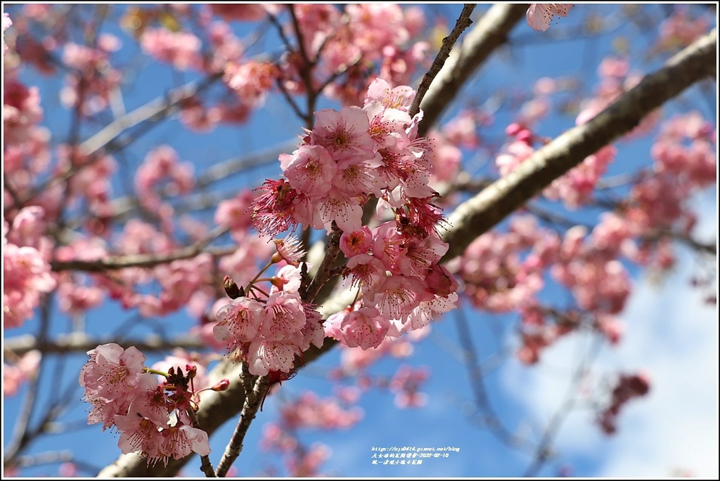 統一清境小瑞士花園 Swiss Garden-2022-02-43.jpg