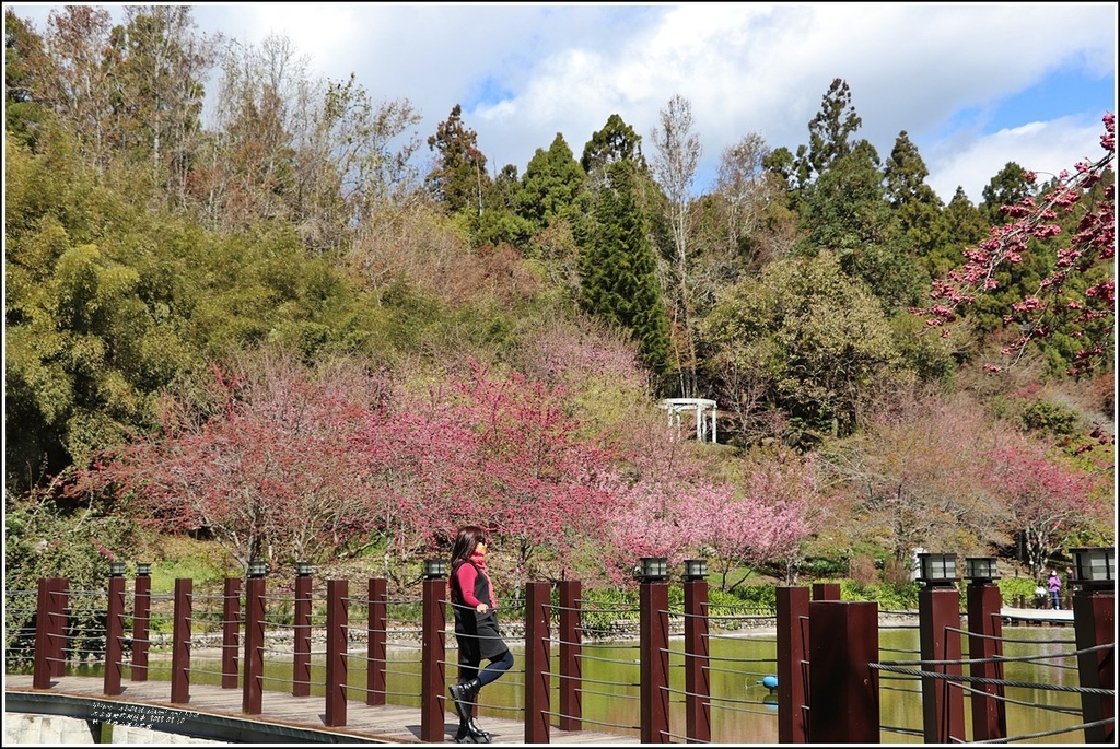 統一清境小瑞士花園 Swiss Garden-2022-02-56.jpg