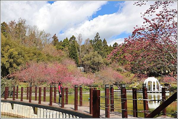 統一清境小瑞士花園 Swiss Garden-2022-02-58.jpg